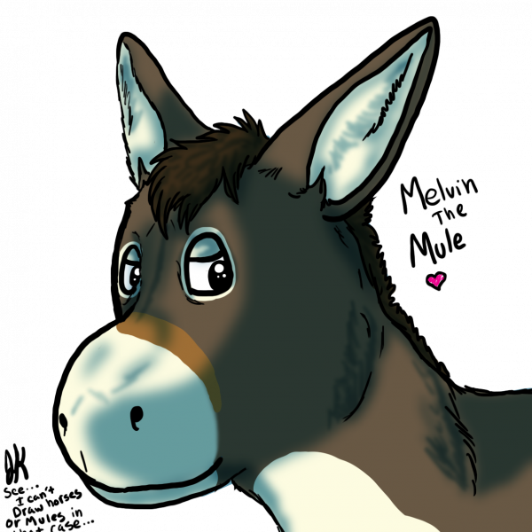 DirectMe profile picture for @mule
