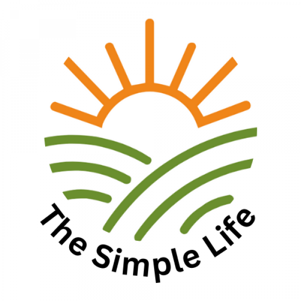 5 Mini Chainsaws on Direct.me