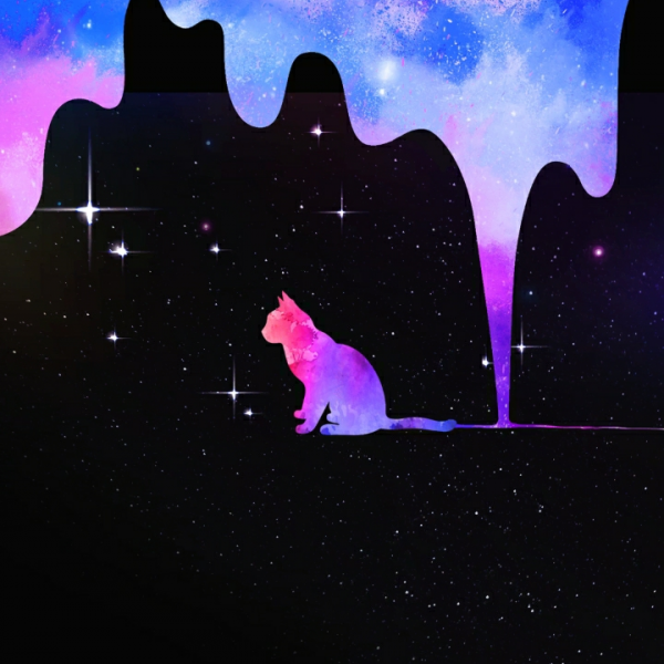 DirectMe profile picture for @nighty