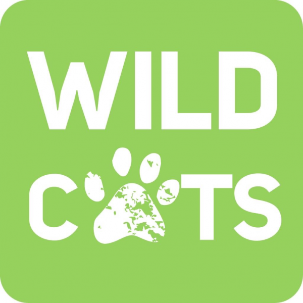 DirectMe profile picture for @wildcats