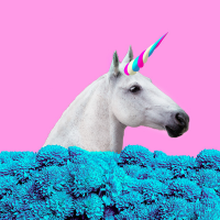 DirectMe profile picture for @hyperlink