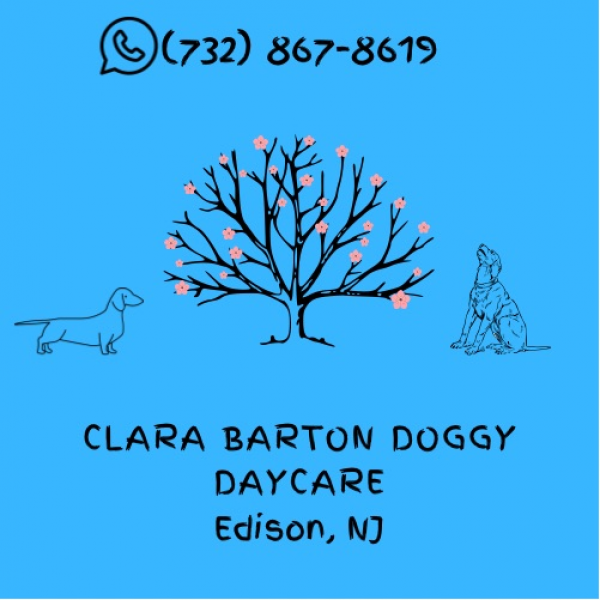 Clara Barton Doggy Daycare on Direct.me