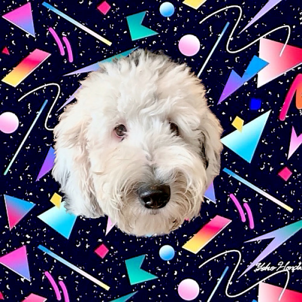 DirectMe profile picture for @bunny