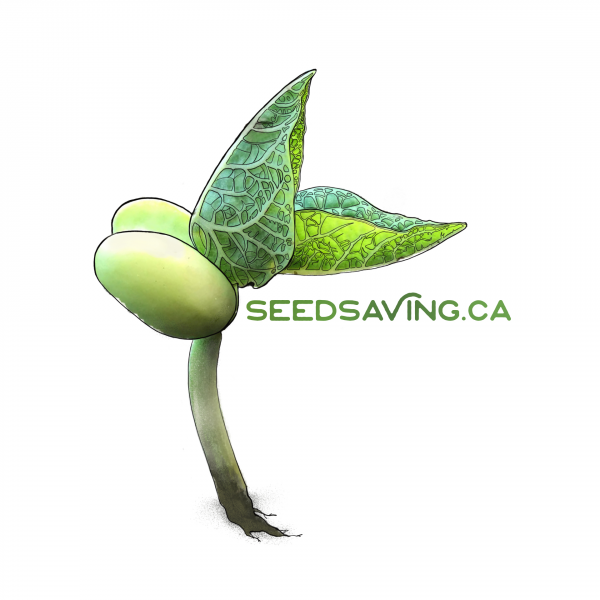 DirectMe profile picture for @seeds