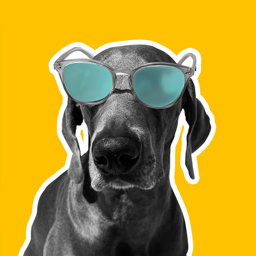 DirectMe profile picture for @rizki