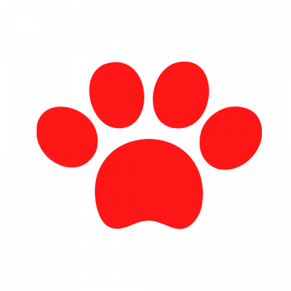 dog-training-tips-on-direct-me