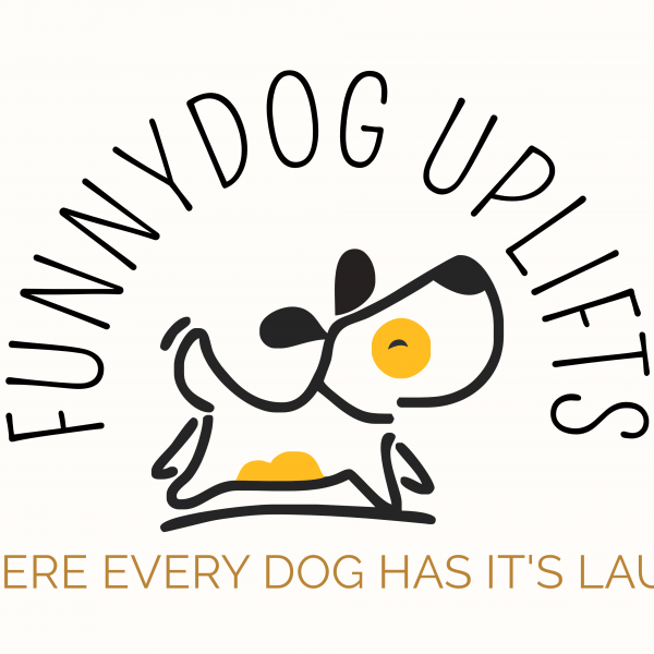 Ed Ross on Direct.me