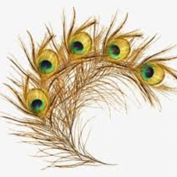 Ava Boutique on Direct.me