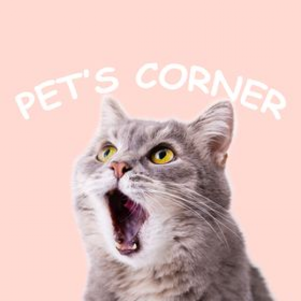 Pets Corner on Direct.me