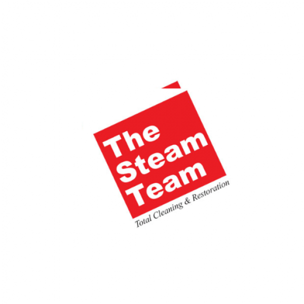 The Steam Team on Direct.me