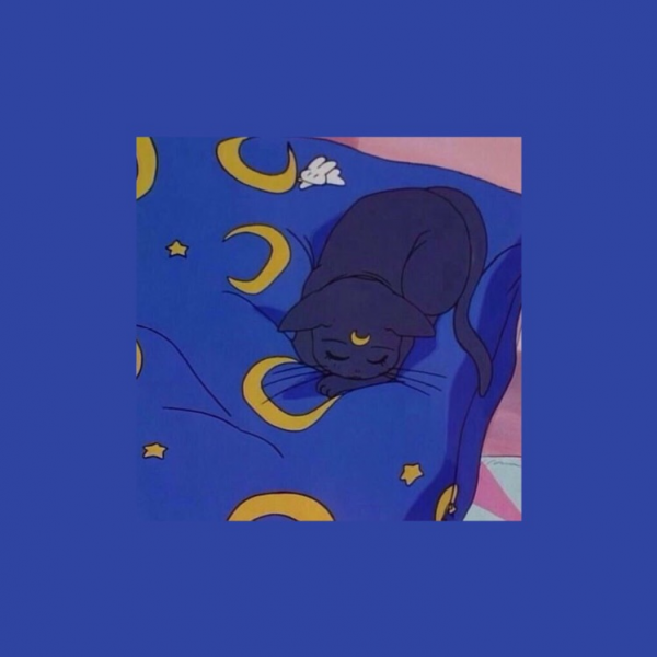 DirectMe profile picture for @amelia
