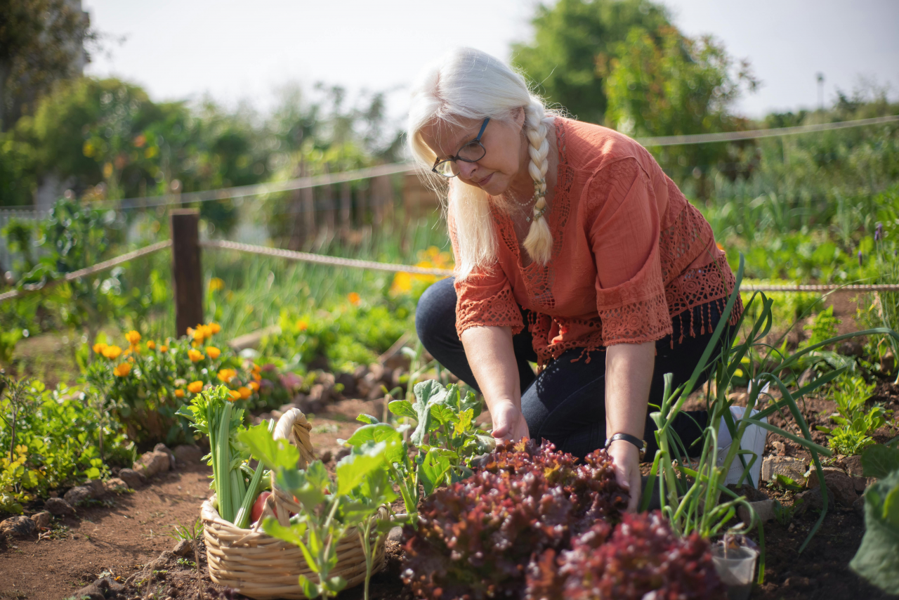 The Self Sufficient Backyard on Direct.me