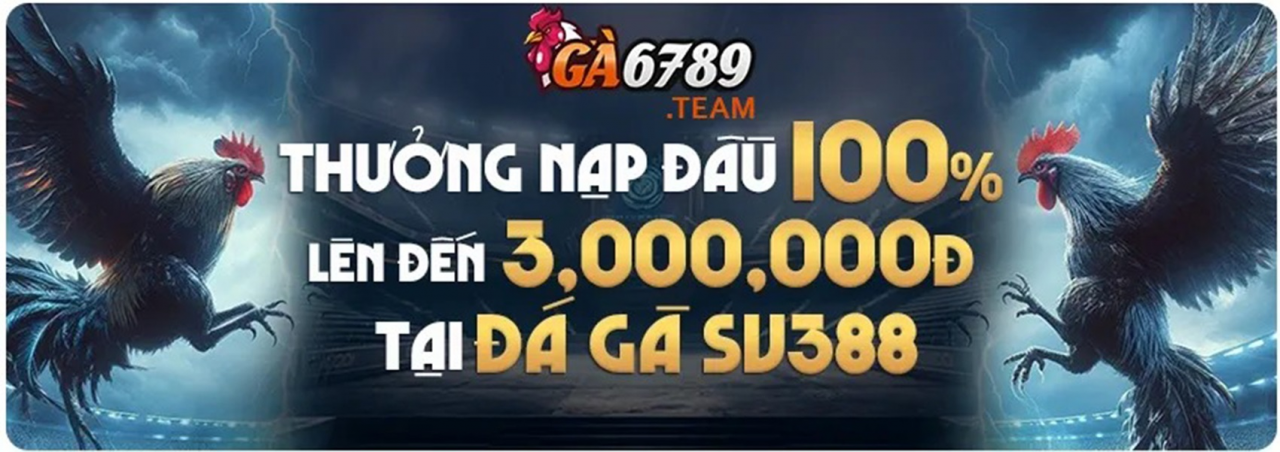 ga6789team