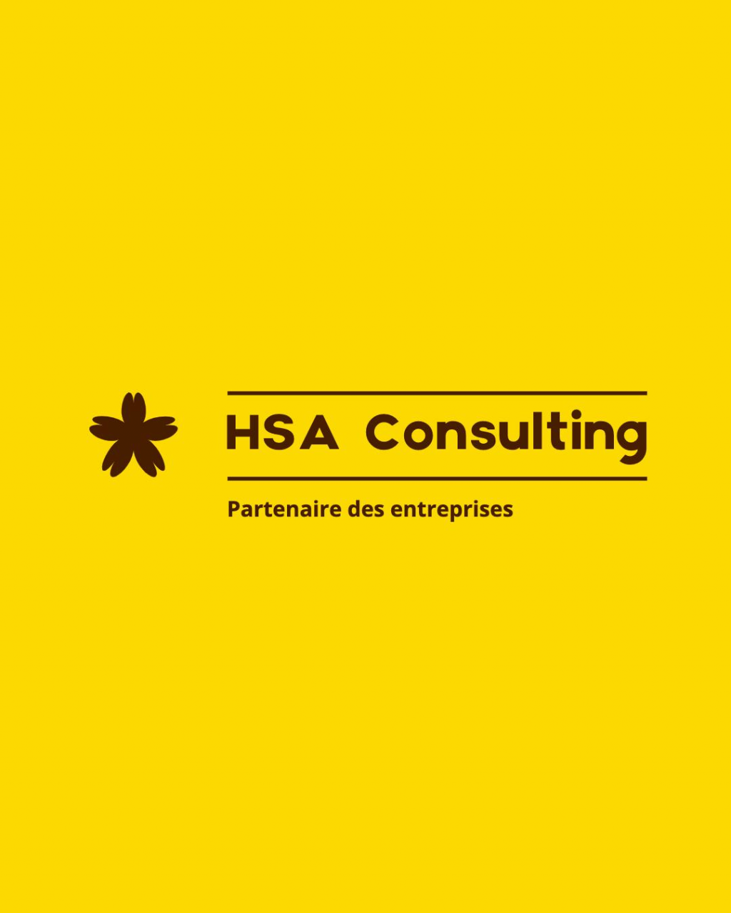 HSA Consulting