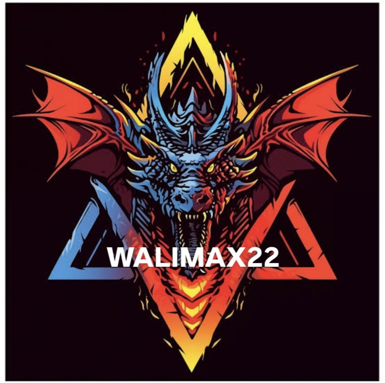 WALIMAX22