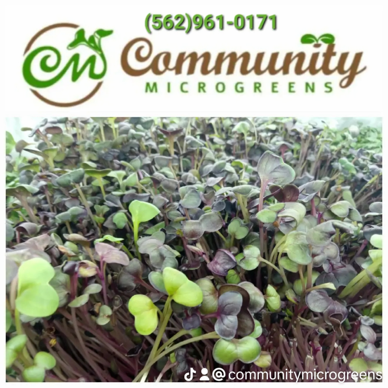 Community Microgreens
