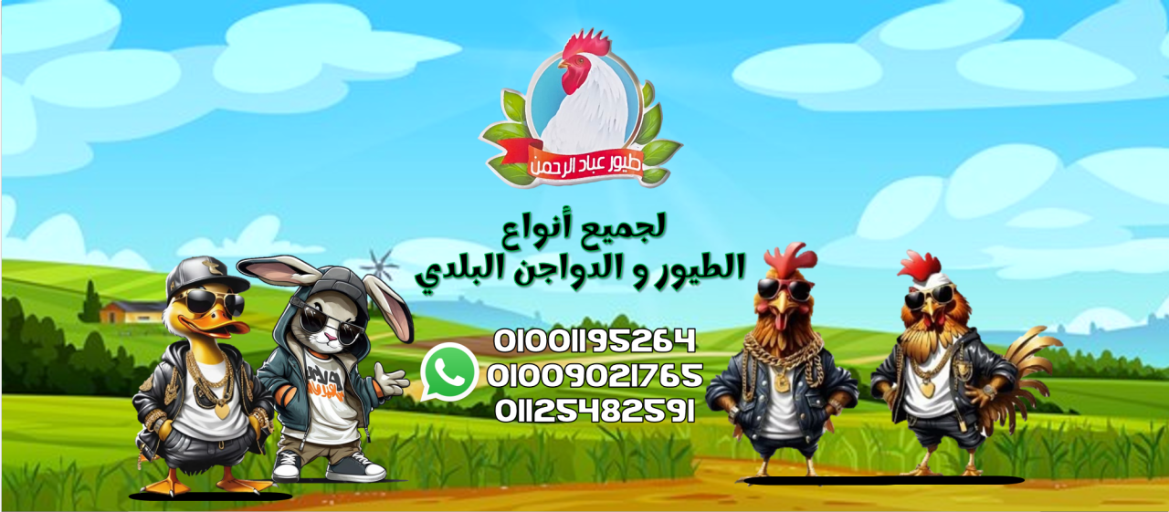 Teyor Ebad El Rahman