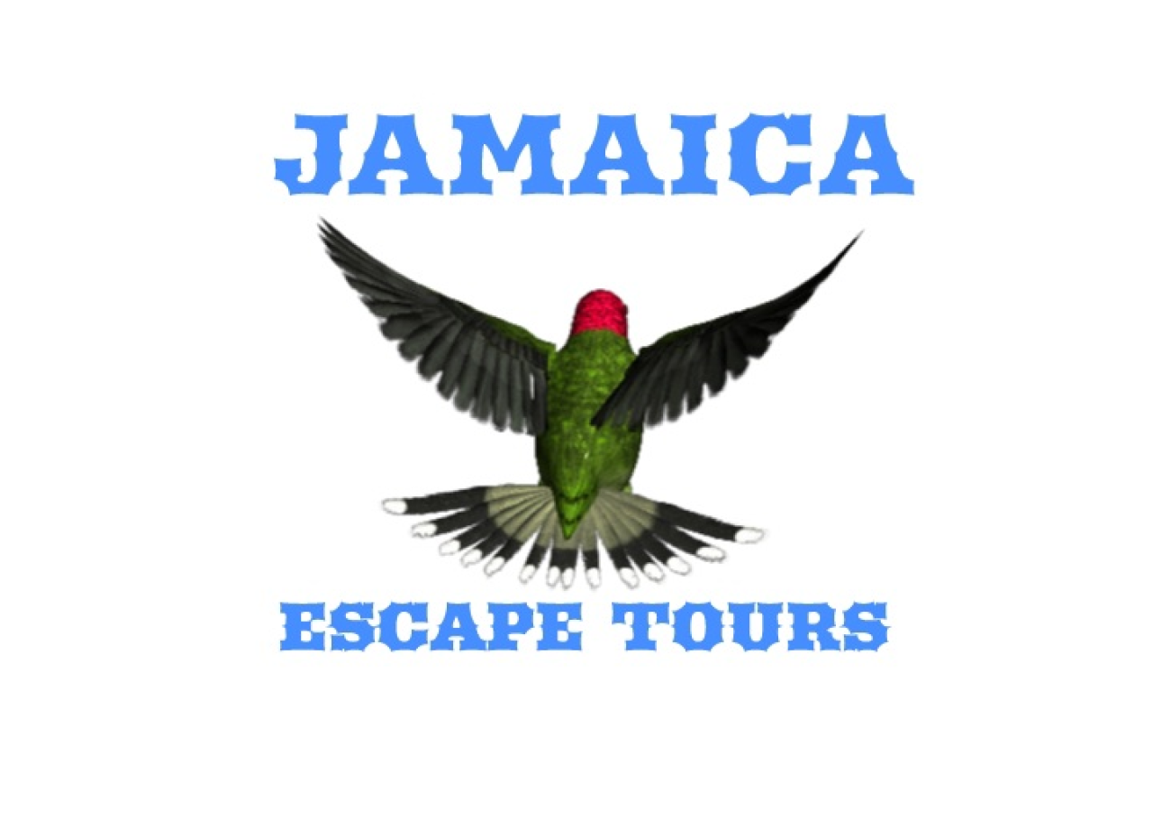 JamaicaEscape Tour