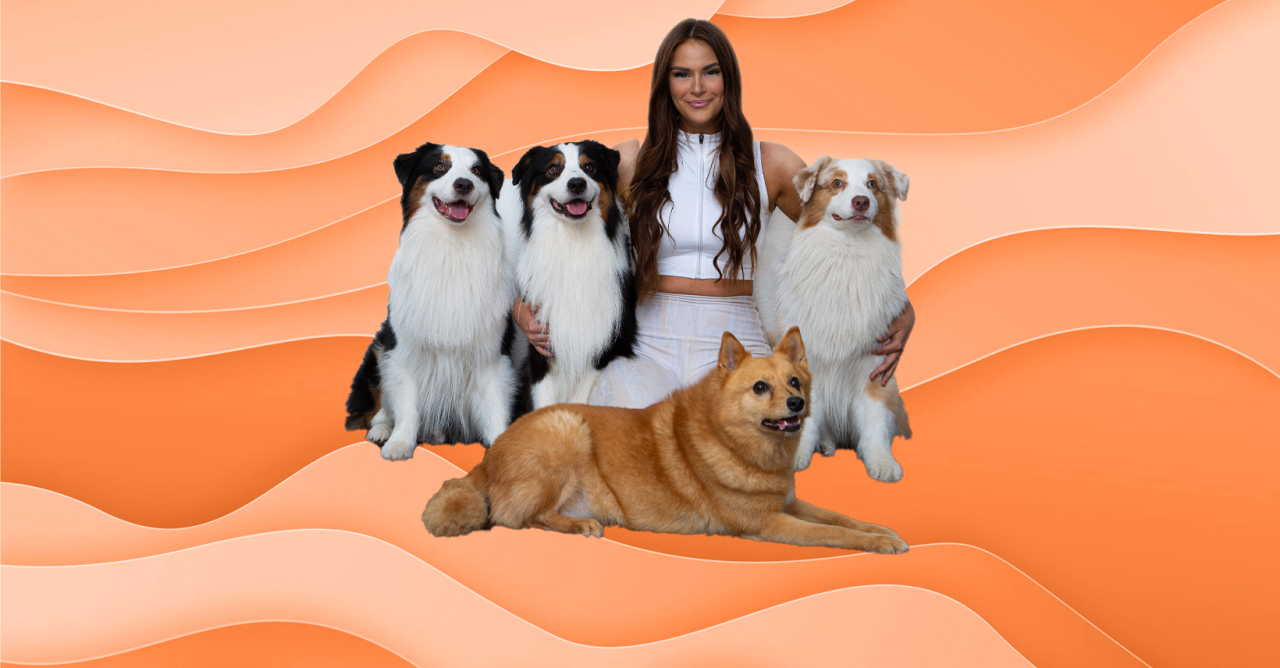 Flambo the dog