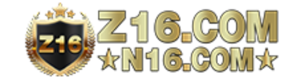 z16 ทางเข้า