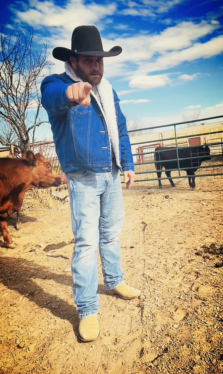 The Wild Cowboy