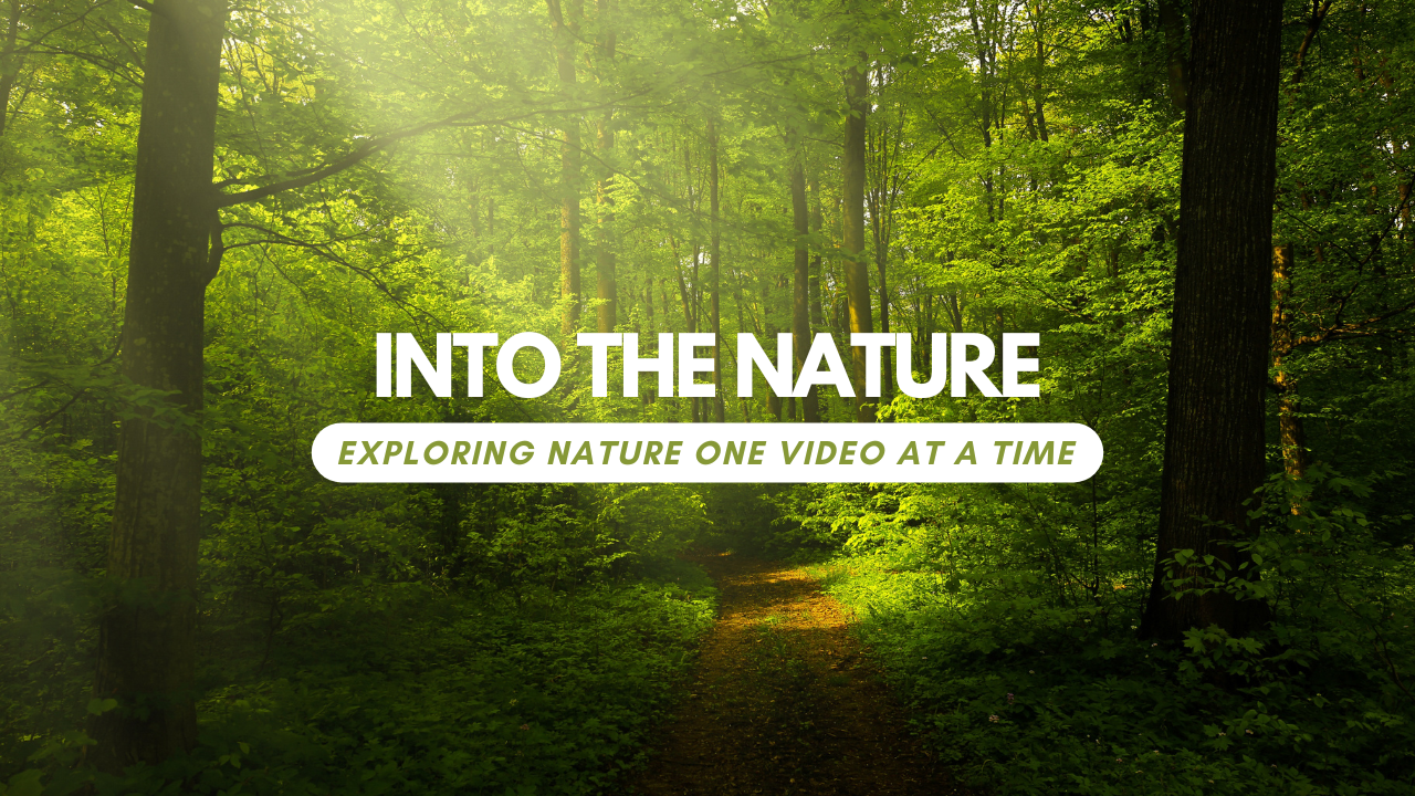 Nature's Secrets on Direct.me