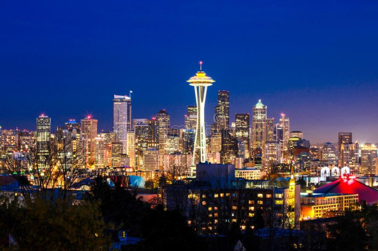 Teetosh Seattle Socialite